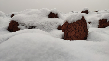 雪