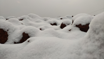 雪