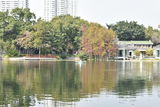 湖景