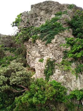 台湾社顶自然公园小峡谷风光