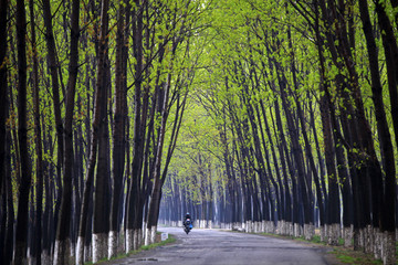 乡间小路