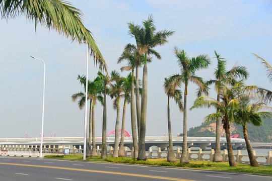 珠海九州岛及连岛大桥