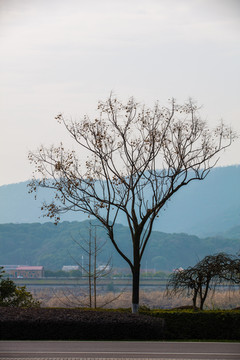 山乡风景