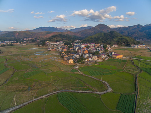 示范农村