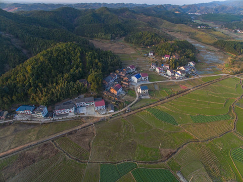 示范农村