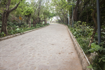 南山公园