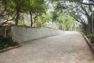 南山公园