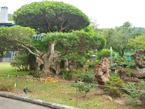 台湾士林官邸公园景观园林