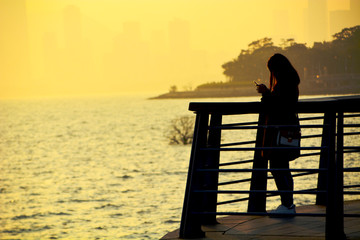 深圳湾夕阳风景