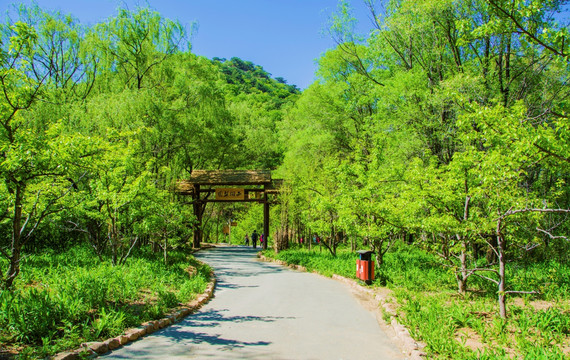 千山雨润梨园圆木柱门与柏油路