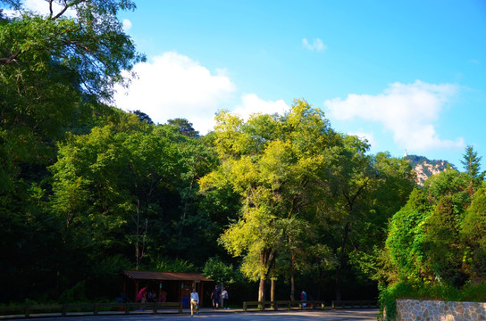 千山财神庙候车亭与山林山峰