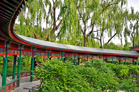 北京动物园亭台楼榭园林