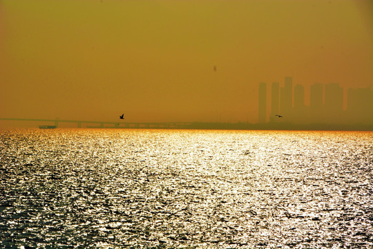 深圳湾夕阳海面