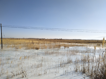 冬天的湿地保护区