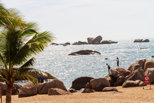 海南三亚天涯海角游览区海滩椰树