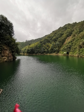 竹林湖泊