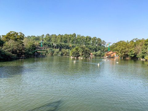 动物园湖景