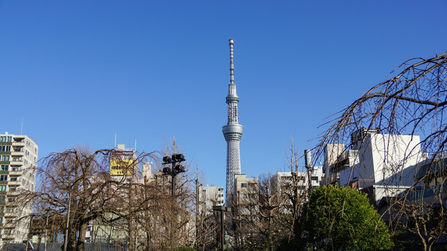 东京晴空塔