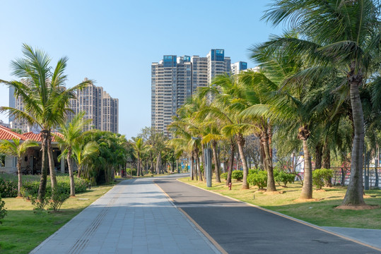 湛江市中澳友谊花园的马路