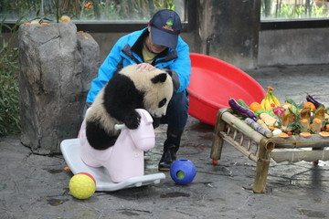 熊猫