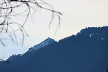 天山冬季景色