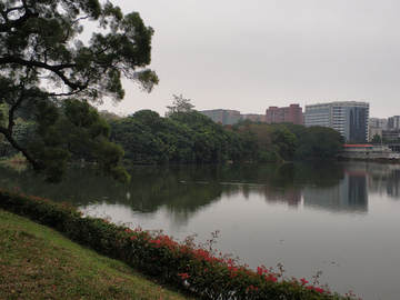 流花湖公园景观