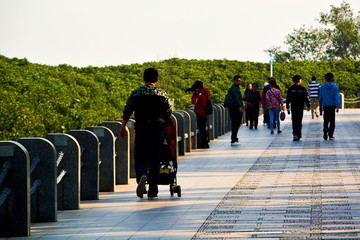 海滨休闲道