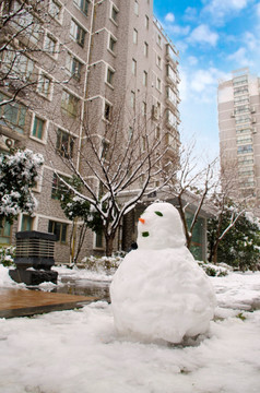 小区堆雪人照片