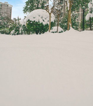 小区雪景
