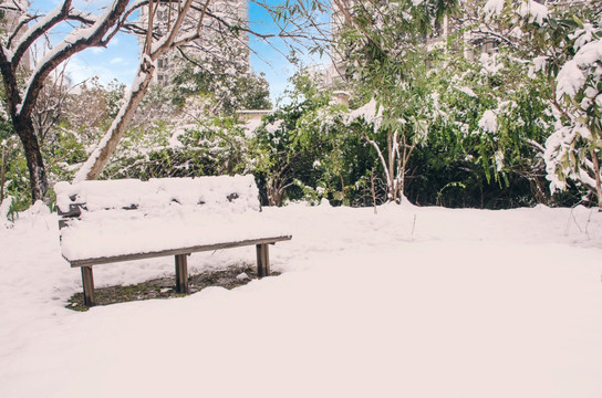 居民小区铺满雪的长凳