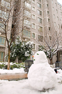 小区楼房前堆的雪人