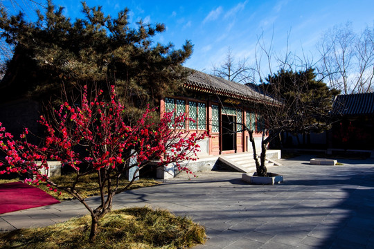 北京大观园怡红院