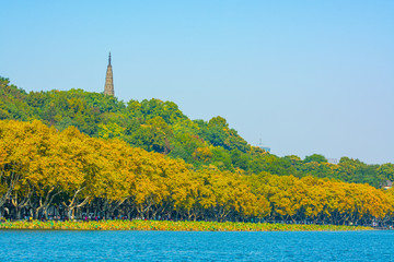 西湖宝石山