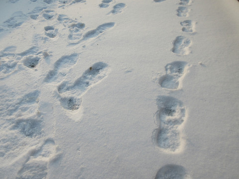 雪地脚印