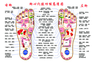 脚心穴位