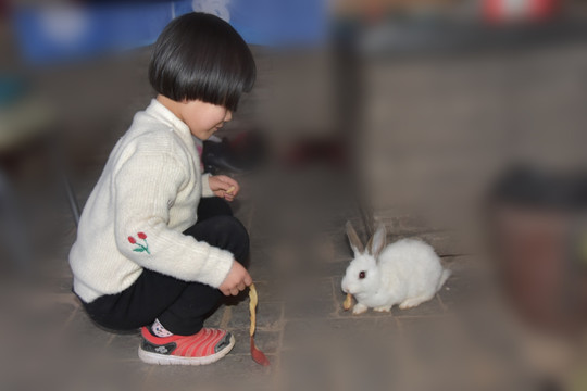小女孩与小白兔