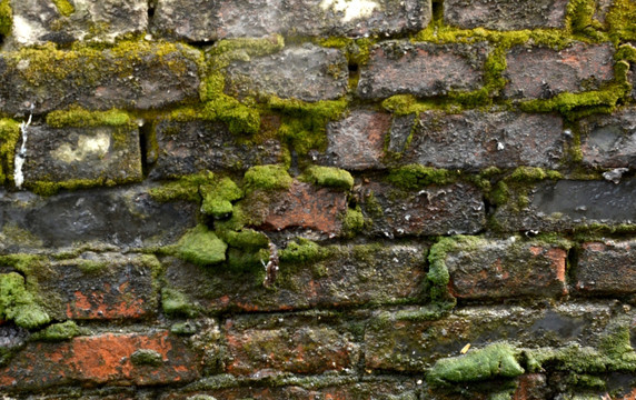 老旧苔藓砖墙