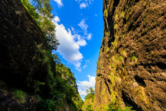 中国福建武夷山大红袍景区