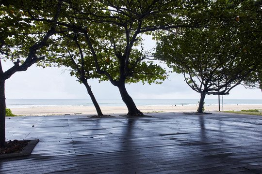 大海边空旷的木平台与树