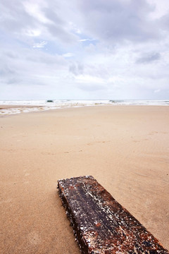 沙滩上被遗弃的木头