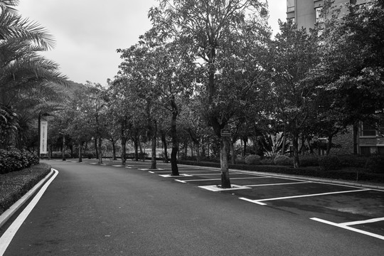 小区里的道路与停车位