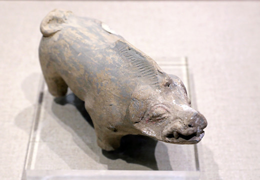 汉代彩绘灰陶猪