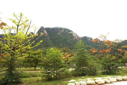韩国雪岳山秋色
