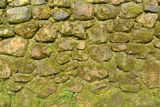 苔藓石墙素材