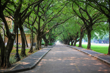 中山大学广州校园