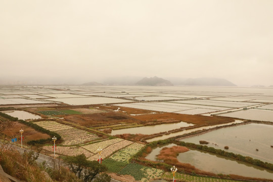 霞浦沙塘里