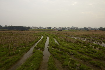 田园风光