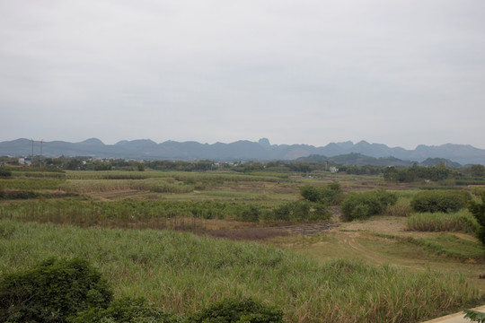 田园风光