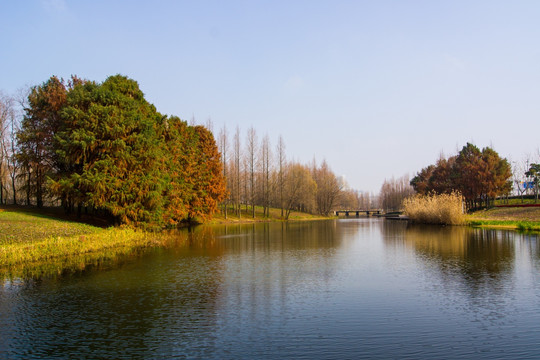 湖风景