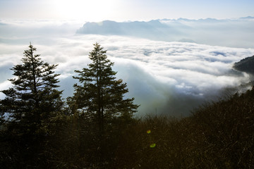 神农架风光